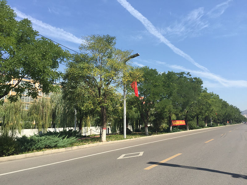 �I�Ӵ�փɂ�(c��)�G����������