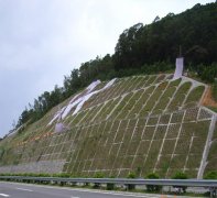 =ƺɽ�^(q��)ɳ��·�϶��϶��������̵��|(zh��)��(z��i)��Σ�U(xi��n)���u(p��ng)����(b��o)��